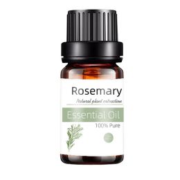 Beauty Salon Facial Massage Essential Oil (Option: Rosemary essential oil-10ML)